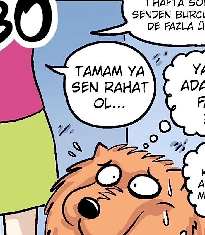 Serkan Altuniğne – Bobo Karikatür Serisi